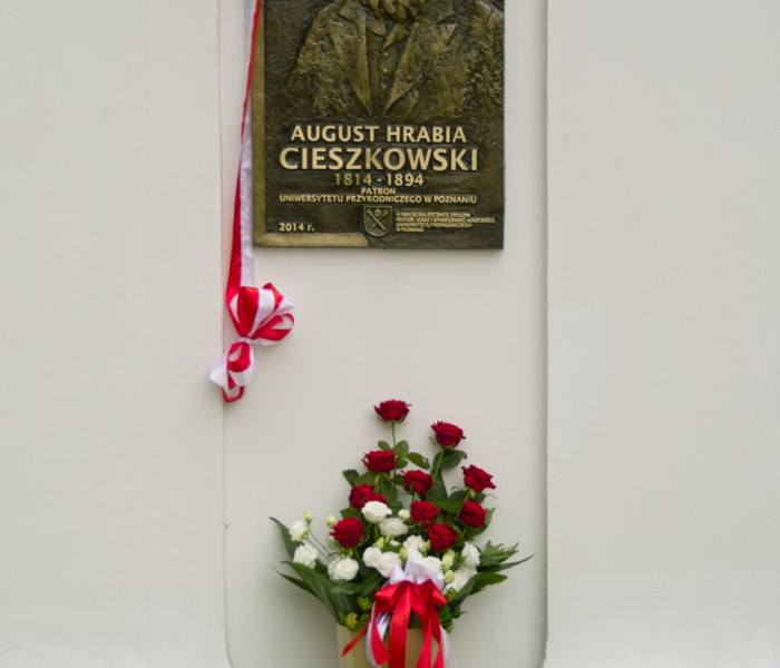 SDIM1984